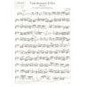 Bach, Johann Sebastian - Violin Concerto No. 2, E major