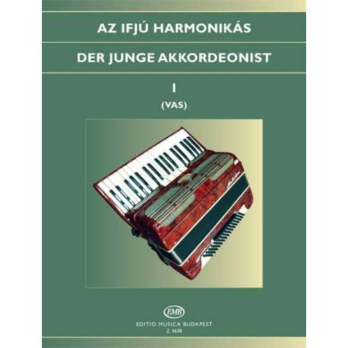 The Young Accordionist 1