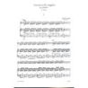 Vivaldi, Antonio - Concerto in do maggiore
