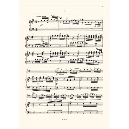 Hara & Vivaldi - Concerto in la minore