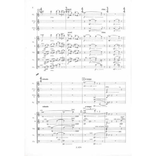 Vántus, István - Reflections