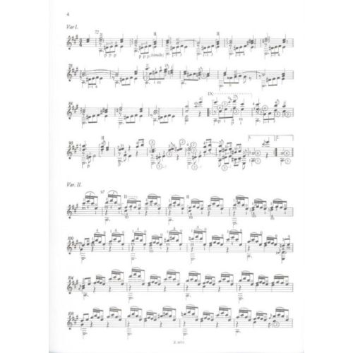 Tárrega, Francisco - Carnival of Venice, The (guitar)