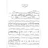 Vivaldi & Mariassy - Concerto in do maggiore