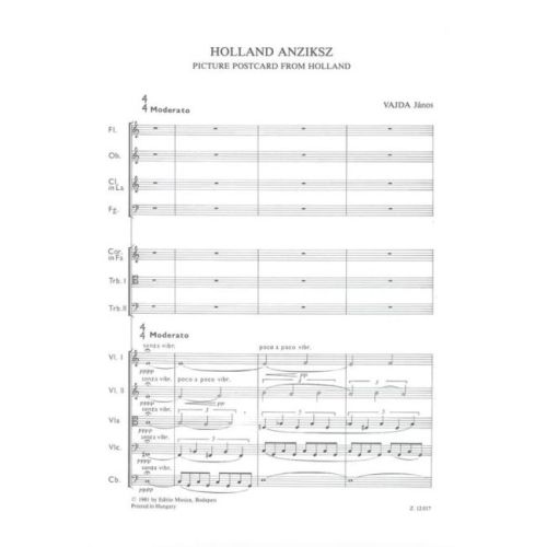 Vajda, János - Picture Postcard from Holland