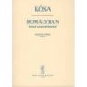 Kósa, György - Homalyban