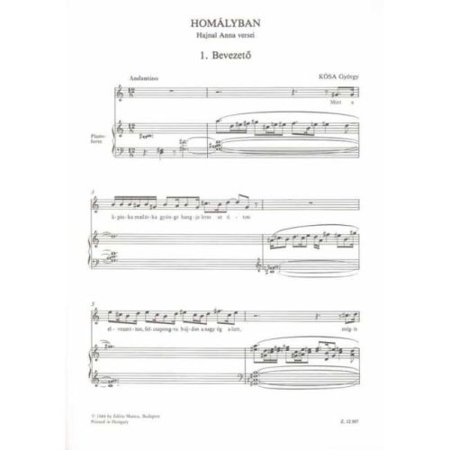 Kósa, György - Homalyban
