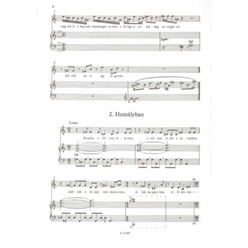 Kósa, György - Homalyban