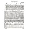 Szunyogh, Balázs - Piccolo divertimento