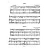 Nagy, Oliver - Easy Performance Pieces