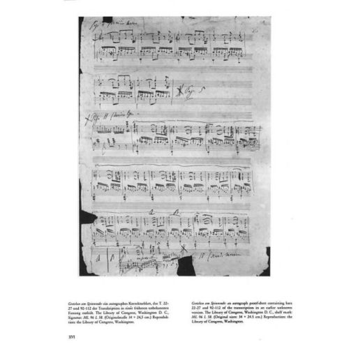 Transcriptions V (Hardback)