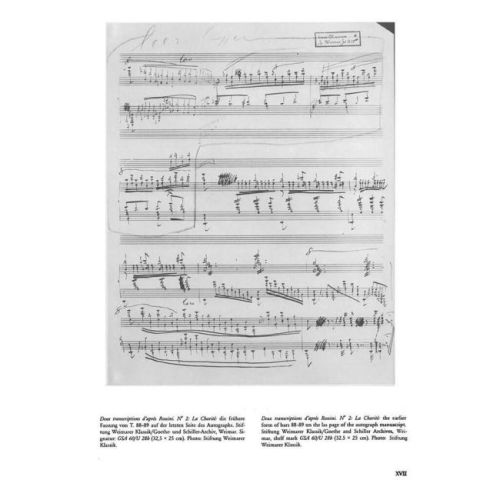 Transcriptions VIII (Hardback)