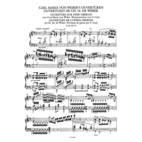 Transcriptions VIII (Hardback)