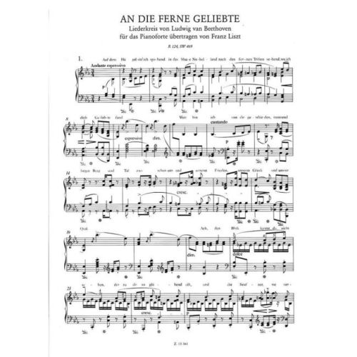 Transcriptions IX (Hardback)