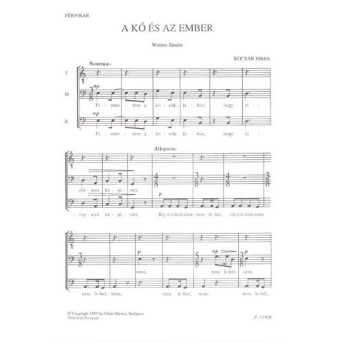 A ko es az ember