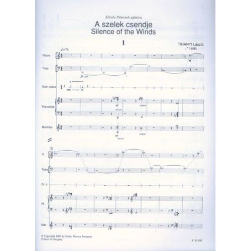 Tihanyi, László - Silence of the Winds