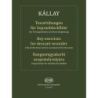 Kállay, Gábor - Key exercises for descant recorder