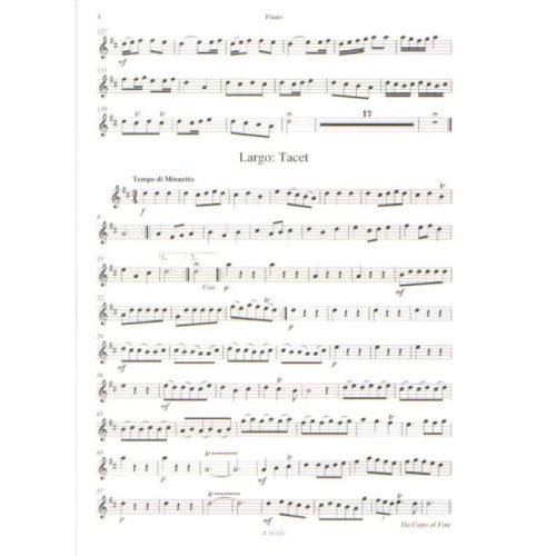 Telemann & malina - Concerto in re maggiore per flauto, arch