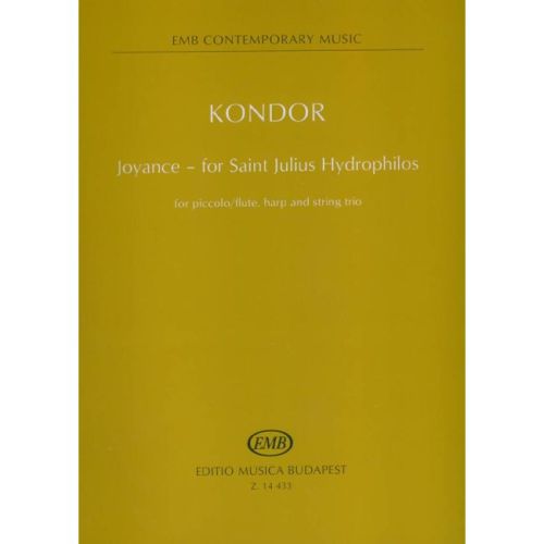 Kondor, Adam - Joyance -...
