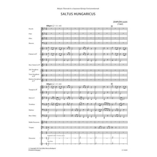 Zempléni, László - Saltus Hungaricus