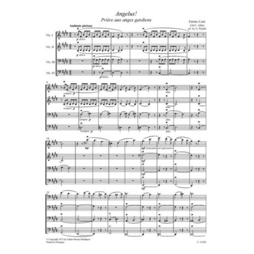 Chamber Music for Cellos Vol.15 (sc/pts)