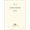 Tillai, Aurél - Cantate Domino