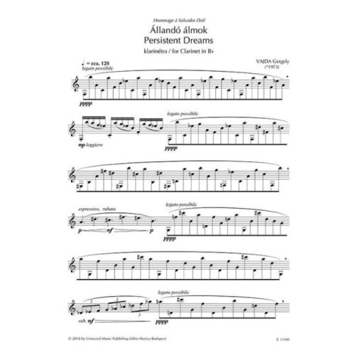 Gergely, Vajda - Persistent dreams