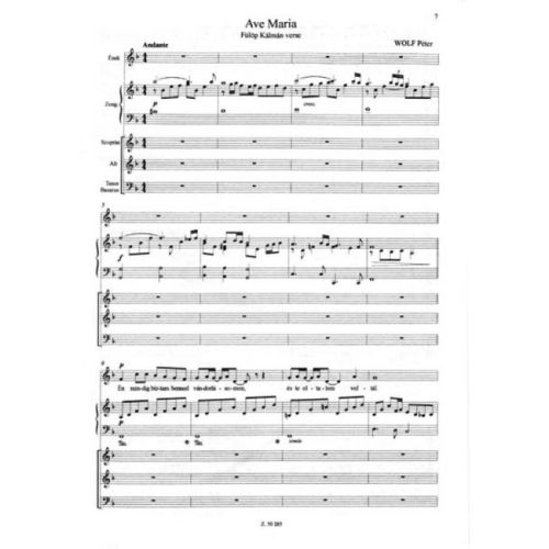 Wolf, Péter - Ave Maria