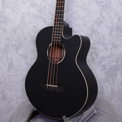 Tanglewood Blackbird...