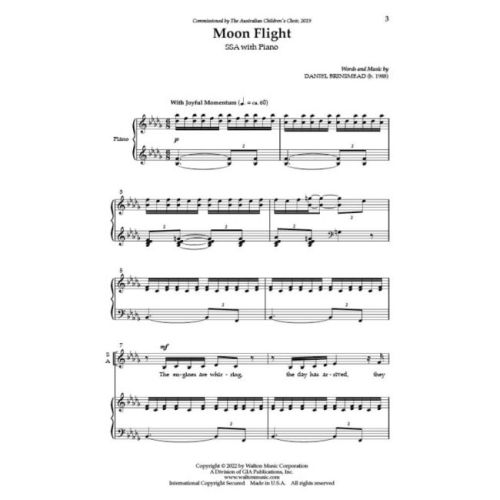 Brinsmead, Daniel - Moon Flight