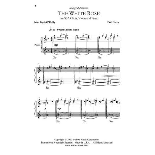 Carey, Paul - The White Rose
