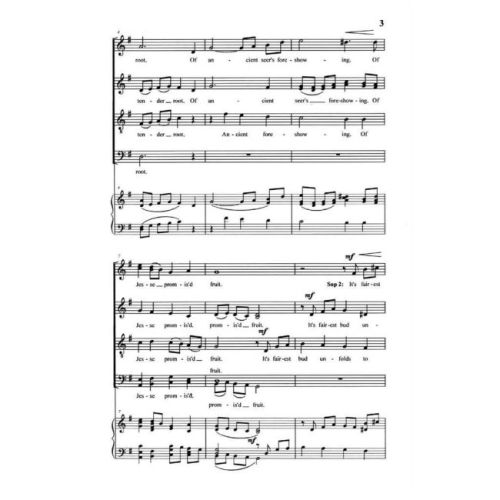 DeWald, Frank K. - A Spotless Rose