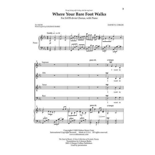 Childs, David N. - Where Your Bare Foot Walks
