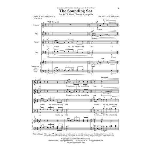 Barnum, Eric William - The Sounding Sea