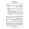 Schumann, Robert - Zigeunerleben