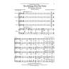 Stroope, Z. Randall - Two Strings, But One Voice