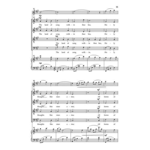 Schultz & Longfellow - Voices of the Night