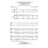 Antognini & Haas - Les Elephants Savent