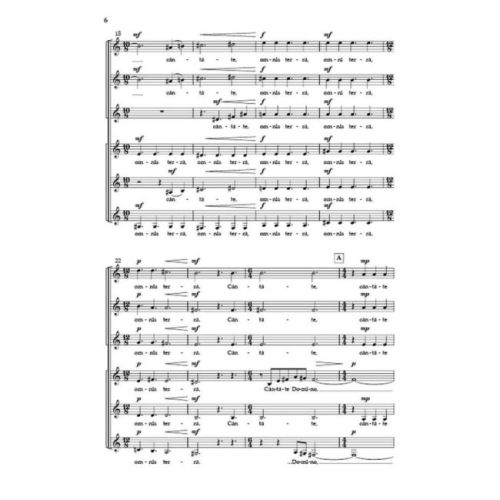 Antognini, Ivo - Canticum Novum