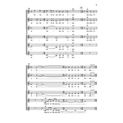 Antognini, Ivo - Canticum Novum