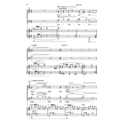 Adams, Nathaniel - Lux Brumalis