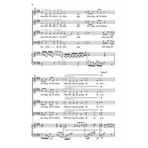 Zimmer, Faith - Seasons of Gratitude