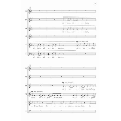 Steffen, Andrew - Duo Seraphim