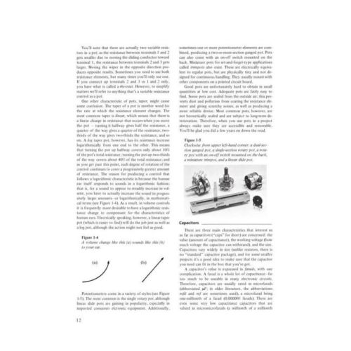 Electronic Projects for Musicians