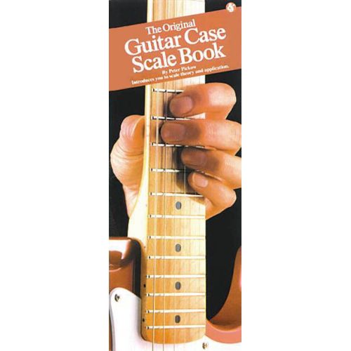 The Original Guitar Case...