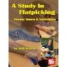 Troxel, Jeff - A Study in Flatpicking Twenty Tunes and Variations