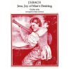 Bach, Johann Sebastian - Jesu, Joy Of Man's Desiring