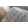 Endless Fascination: The Life and Work of Thomas Pitfield, Composer, Artist, Craftsman, Poet