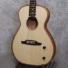Fender Highway Series Parlour Electro/ Acoustic