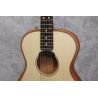 Fender Highway Series Parlour Electro/ Acoustic