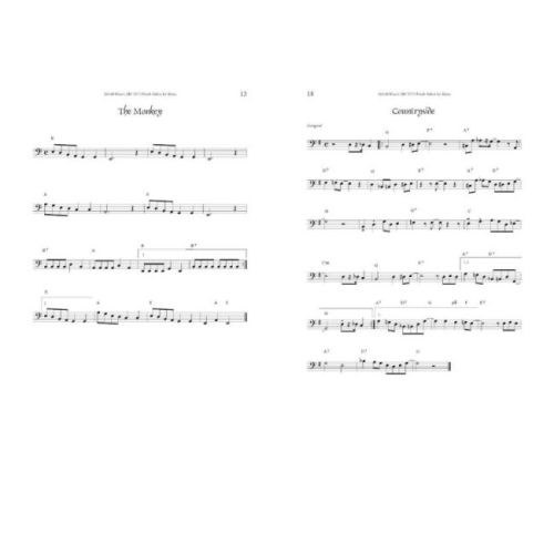 Schell, Felix - Rock Solos für Bass